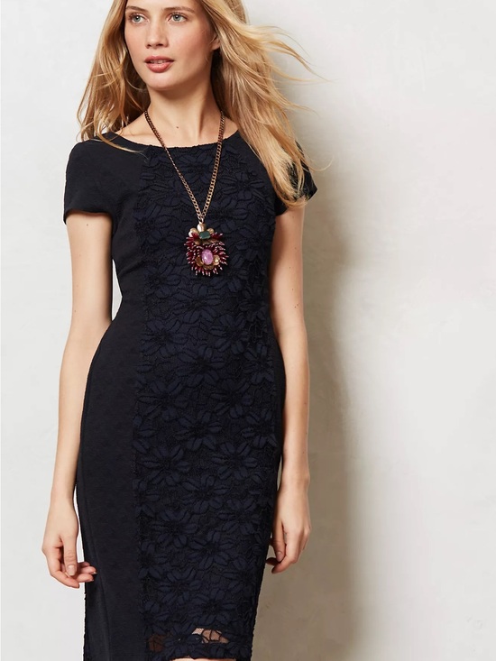 Anthropologie Dresses & Skirts - Anthropologie Moulinette Soeurs - Navy Lace-Panel Midi Sheath Dress - Size M